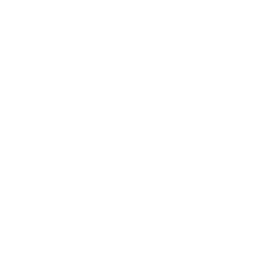 Zur Startseite gehen